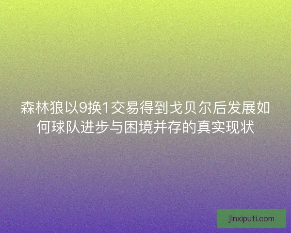 森林狼以9换1交易得到戈贝尔后发展如何球队进步与困境并存的真实现状 森林狼以9换1交易得到戈贝尔后发展如何球队进步与困境并存的真实现状